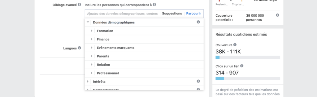 Données démographiques Facebook Ads