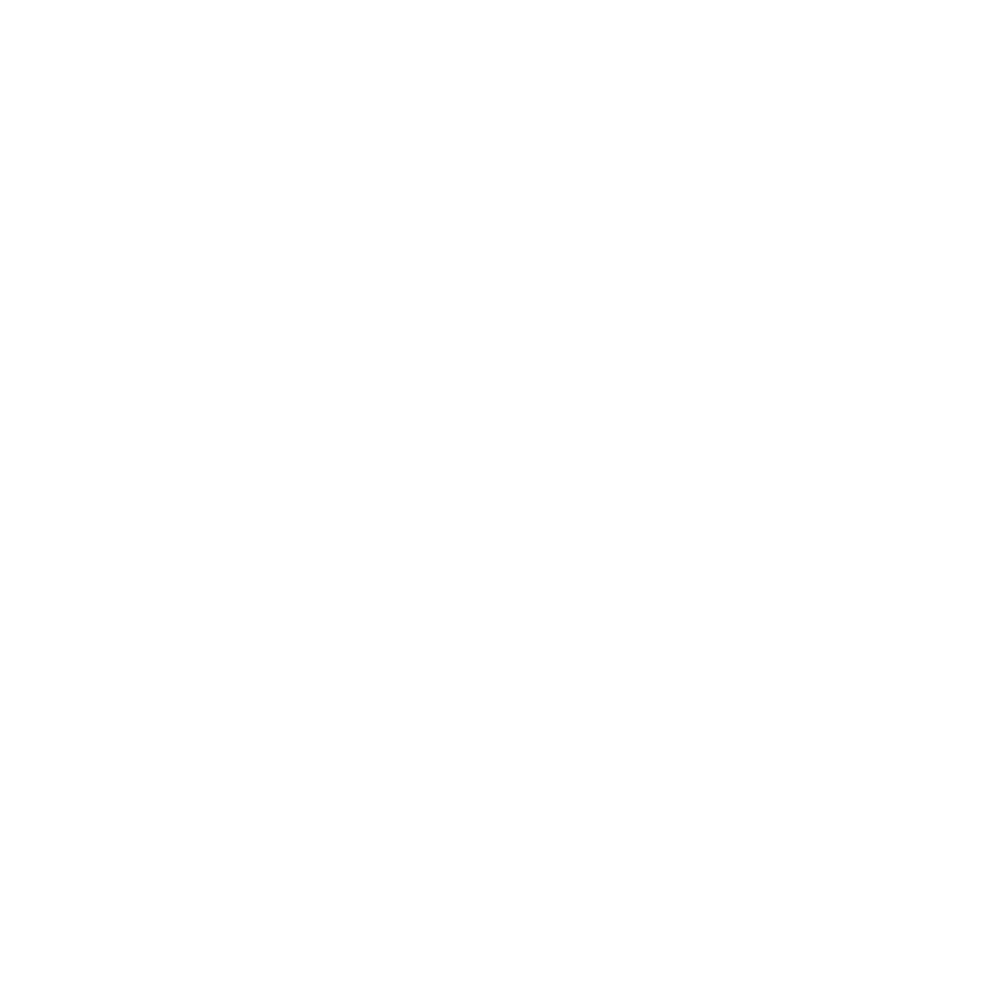 Logo FlyIn Clermont