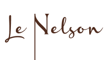Agence digitale Annecy 14 logo-nelsonx2