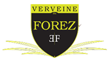 Agence digitale Annecy 19 logo-verveinex2